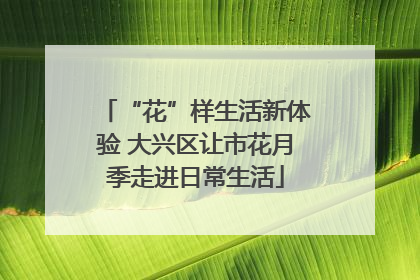 “花”样生活新体验 大兴区让市花月季走进日常生活