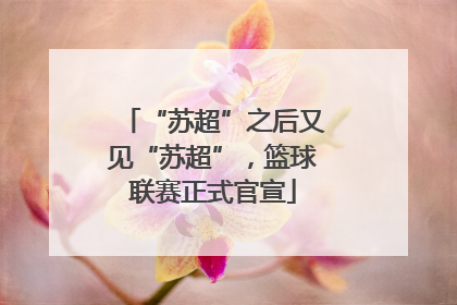 “苏超”之后又见“苏超”，篮球联赛正式官宣