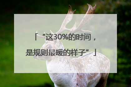 “这30%的时间，是规则最暖的样子”