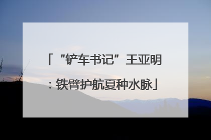 “铲车书记”王亚明：铁臂护航夏种水脉