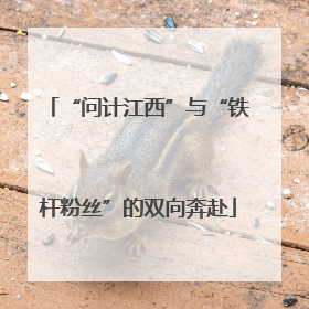 “问计江西”与“铁杆粉丝”的双向奔赴