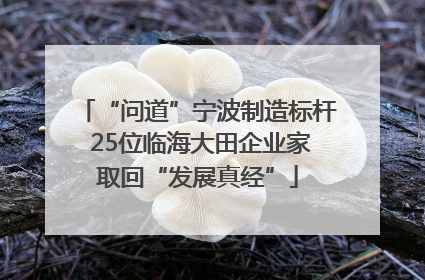 “问道”宁波制造标杆 25位临海大田企业家取回“发展真经”