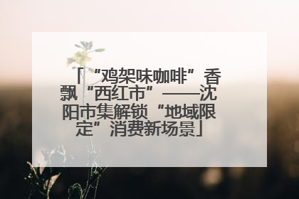 “鸡架味咖啡”香飘“西红市”——沈阳市集解锁“地域限定”消费新场景
