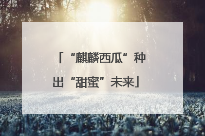 “麒麟西瓜”种出“甜蜜”未来