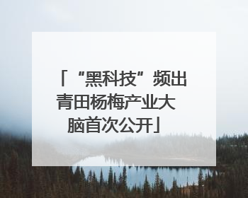 “黑科技”频出 青田杨梅产业大脑首次公开