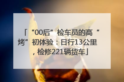 “00后”检车员的高“烤”初体验：日行13公里，检修221辆货车