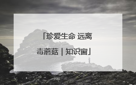 珍爱生命 远离毒蘑菇｜知识窗