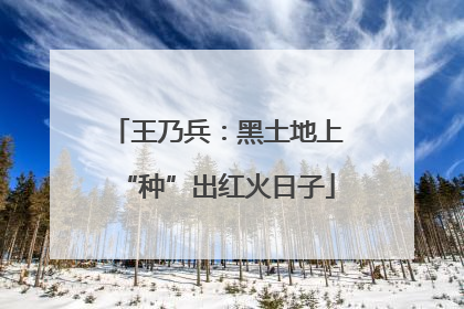 王乃兵：黑土地上“种”出红火日子