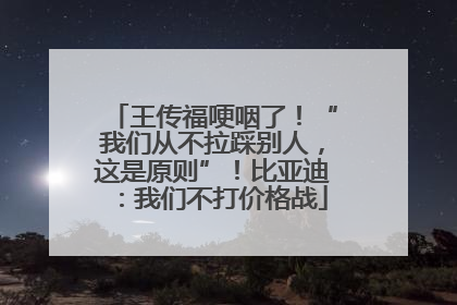 王传福哽咽了！“我们从不拉踩别人，这是原则”！比亚迪：我们不打价格战