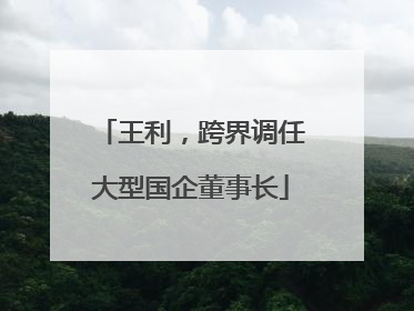 王利，跨界调任大型国企董事长