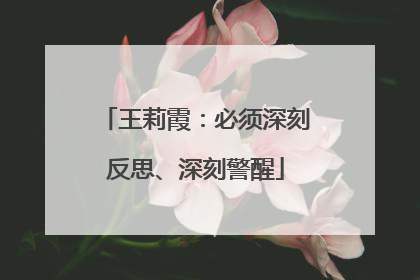 王莉霞：必须深刻反思、深刻警醒