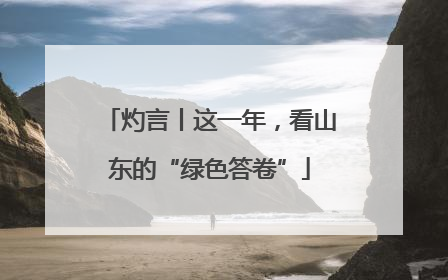 灼言丨这一年，看山东的“绿色答卷”