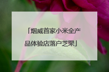 烟威首家小米全产品体验店落户芝罘