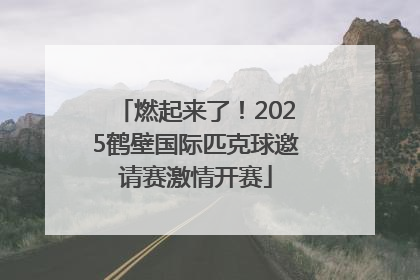 燃起来了！2025鹤壁国际匹克球邀请赛激情开赛