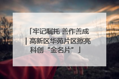 牢记嘱托 善作善成｜高新区华苑片区擦亮科创“金名片”