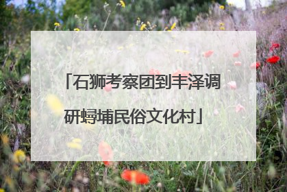 石狮考察团到丰泽调研蟳埔民俗文化村