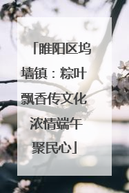 睢阳区坞墙镇：粽叶飘香传文化 浓情端午聚民心