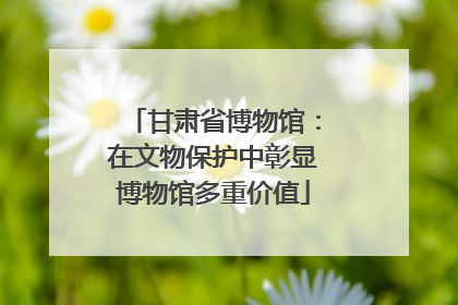 甘肃省博物馆：在文物保护中彰显博物馆多重价值