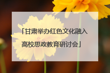 甘肃举办红色文化融入高校思政教育研讨会