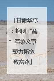 甘肃华亭：抱团“蔬”写菜文章 聚力拓宽致富路