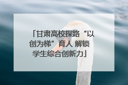 甘肃高校探路“以创为梯”育人 解锁学生综合创新力