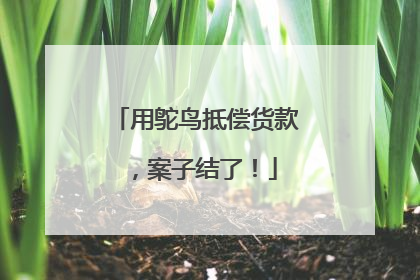 用鸵鸟抵偿货款，案子结了！