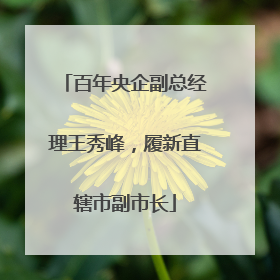 百年央企副总经理王秀峰，履新直辖市副市长