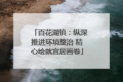 百花湖镇：纵深推进环境整治 精心绘就宜居画卷