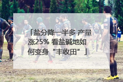 盐分降一半多 产量涨25% 看盐碱地如何变身“丰收田”