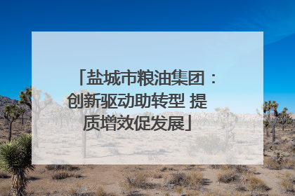 盐城市粮油集团：创新驱动助转型 提质增效促发展