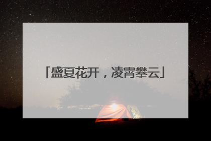盛夏花开，凌霄攀云