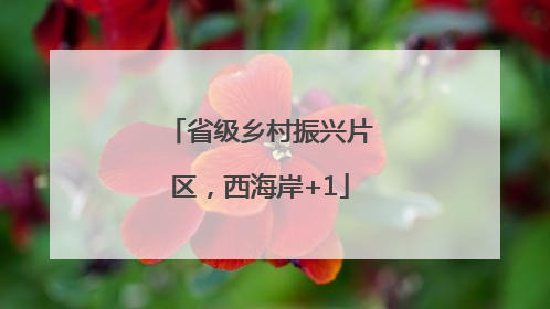省级乡村振兴片区,西海岸+1