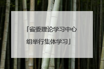 省委理论学习中心组举行集体学习