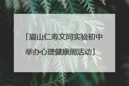 眉山仁寿文同实验初中举办心理健康周活动