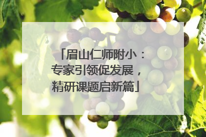 眉山仁师附小：专家引领促发展，精研课题启新篇