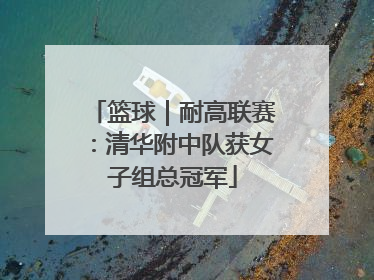 篮球｜耐高联赛：清华附中队获女子组总冠军