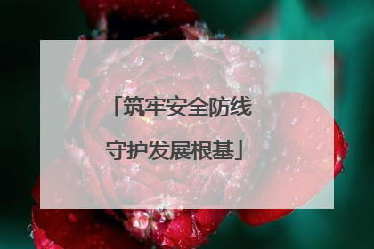 筑牢安全防线 守护发展根基