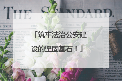 筑牢法治公安建设的坚固基石！