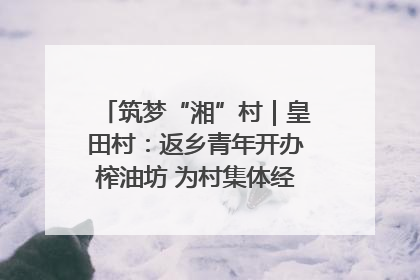 筑梦“湘”村｜皇田村：返乡青年开办榨油坊 为村集体经济“加油”