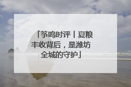 筝鸣时评丨夏粮丰收背后，是潍坊全城的守护