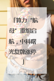 算力“航母”重组启航，中科曙光复牌涨停