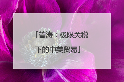 管涛：极限关税下的中美贸易