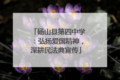 砀山县第四中学：弘扬爱国精神，深耕民法典宣传