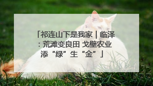 祁连山下是我家｜临泽：荒滩变良田 戈壁农业添“绿”生“金”