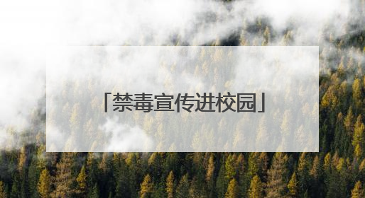 禁毒宣传进校园