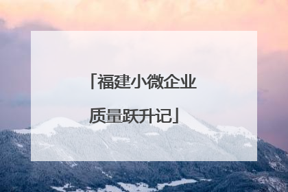 福建小微企业质量跃升记