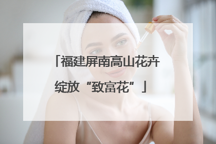 福建屏南高山花卉绽放“致富花”