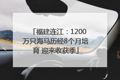 福建连江：1200万只海马历经8个月培育 迎来收获季