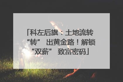 科左后旗：土地流转 “转” 出黄金路！解锁 “双薪” 致富密码