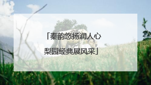 秦韵悠扬润人心 梨园经典展风采